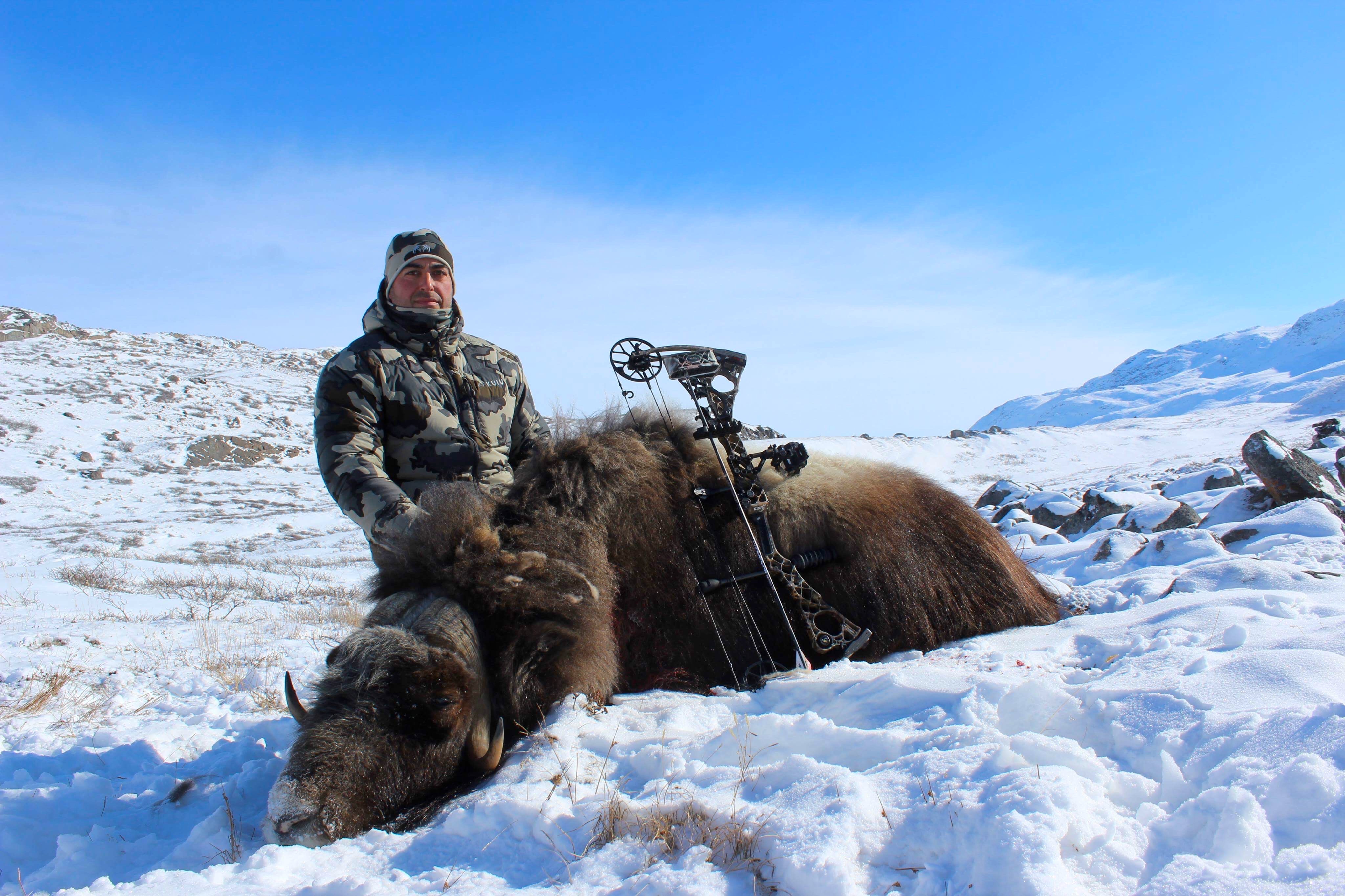 Winter hunting in Greenland